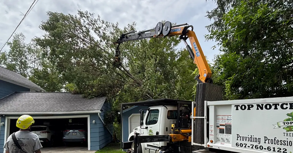 Advanced Robotic Tree Grapple Crane Technology