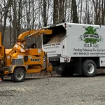 Seasonal Tree Care Insights for Susquehanna County: Your Year-Round Guide