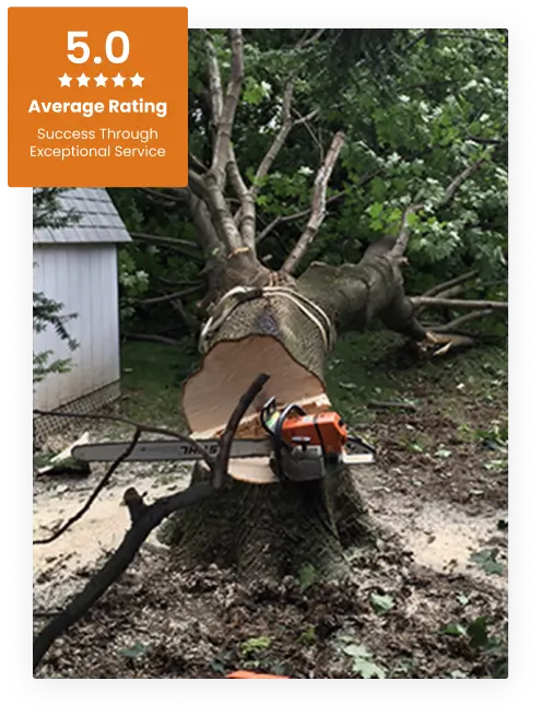 Commercial Tree Service